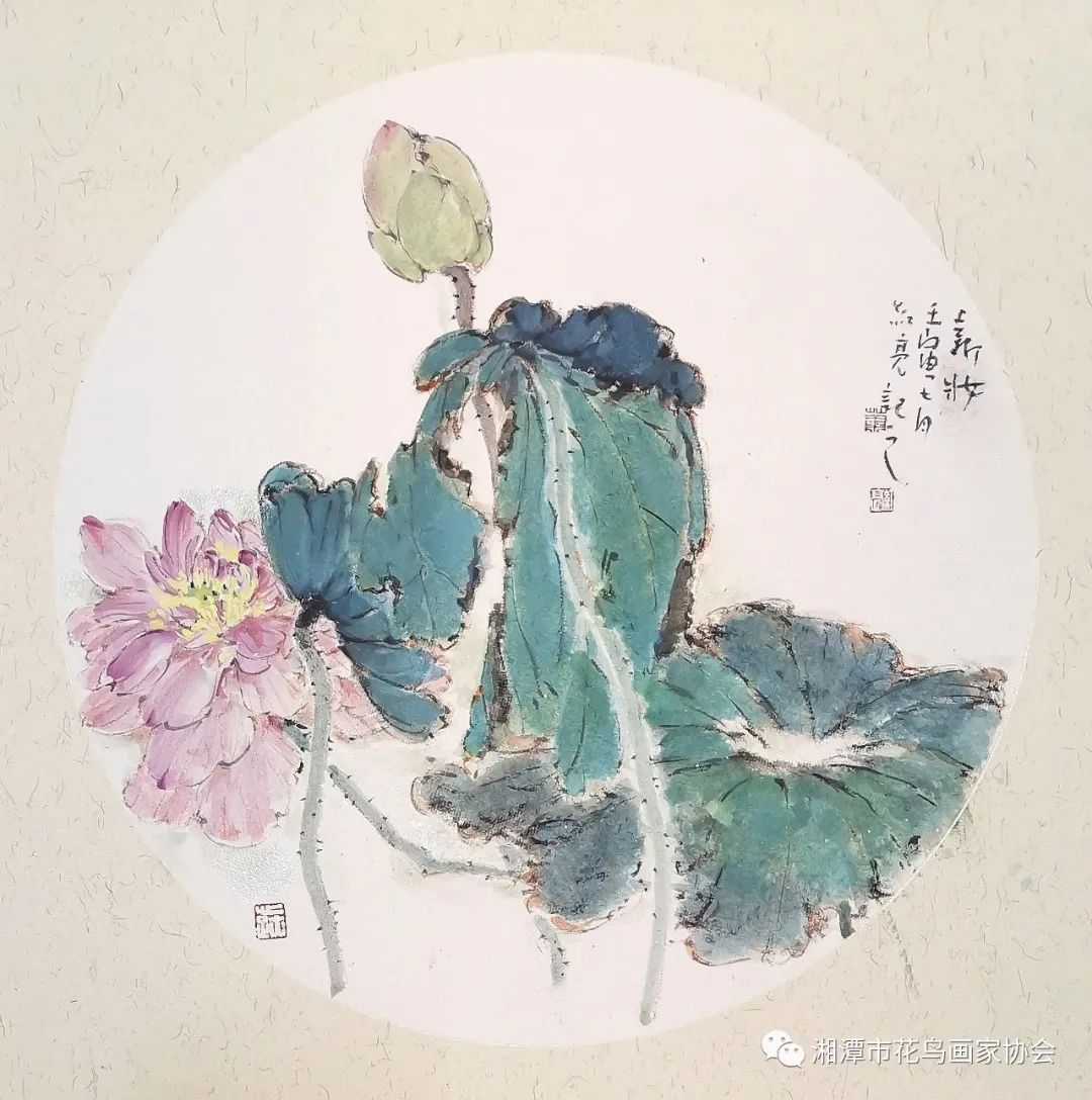 湘潭市花鸟画家协会盘龙大观园荷花写生活动圆满成功