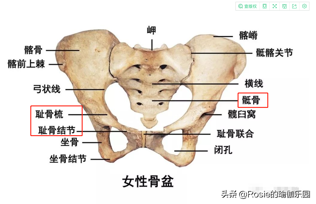 生过二胎下面和的图片(贾静雯被催生4胎) - 赤虎壹号