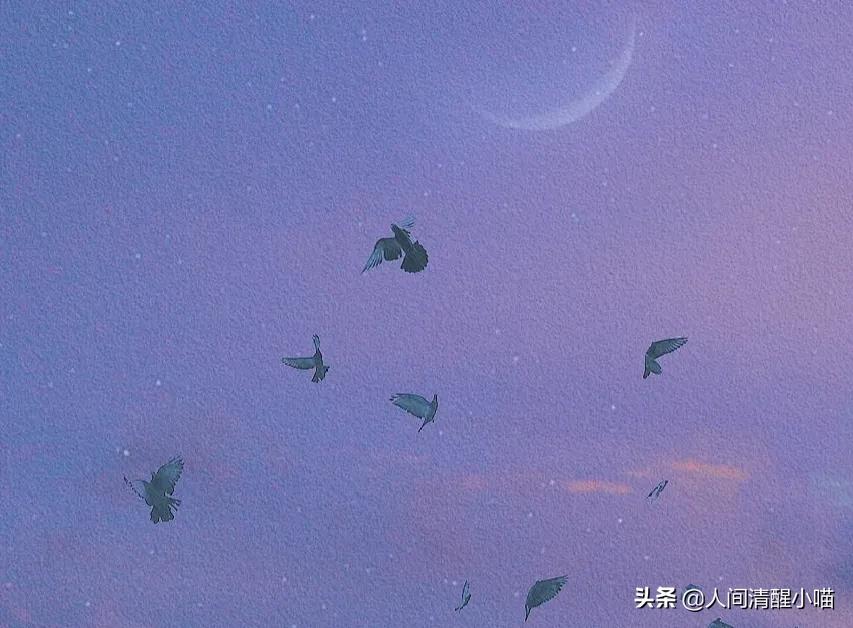 大学累还是高中累（上了大学才明白的一些道理）