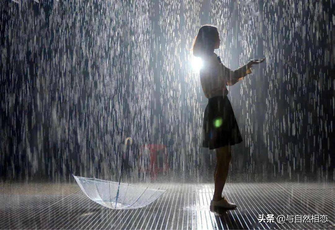 自然的启示——春夜喜雨