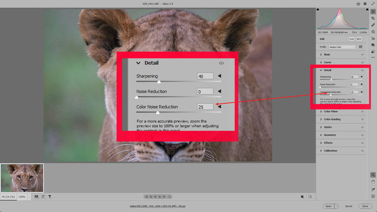 尼康Z9 非洲实战测评（一）优秀的高感画质