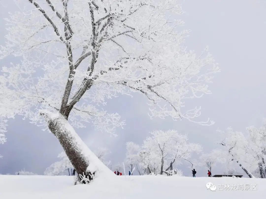 雪花的别称(冬季发圈专用:雪花的40个别称,收藏了!