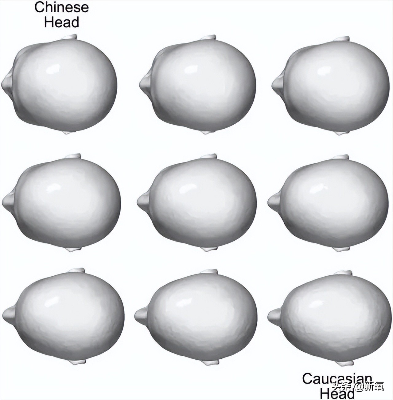暴瘦30斤还瞬间丑10倍？她也太预言家了…