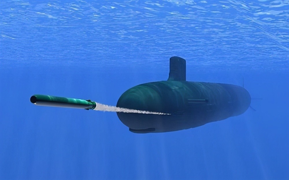 鲸鱼碰瓷核潜艇会爆炸吗？潜艇发射的鱼雷撞上鲸鱼又会发生什么？
