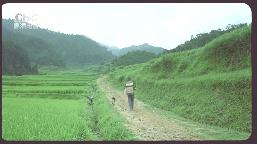 《那山那人那狗》经典语录，在如诗如画的美景中，讲述人性的美好