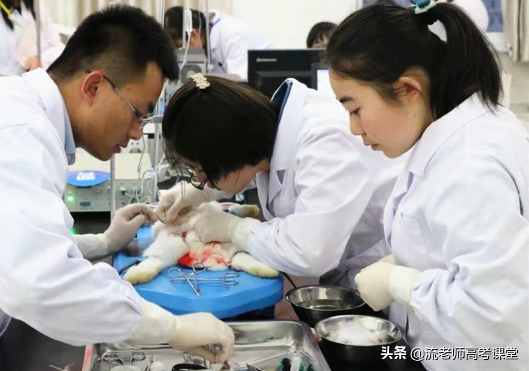 贵州医学实力最好的医科大学，却是本科二批招生，高三学生可了解