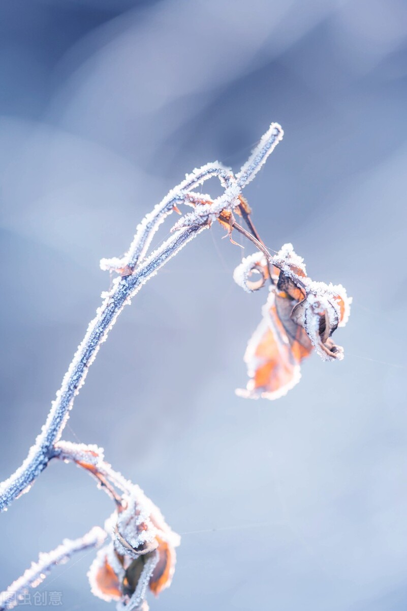 小寒：家人闲坐，灯火可亲，愿风雪知心，流年安暖