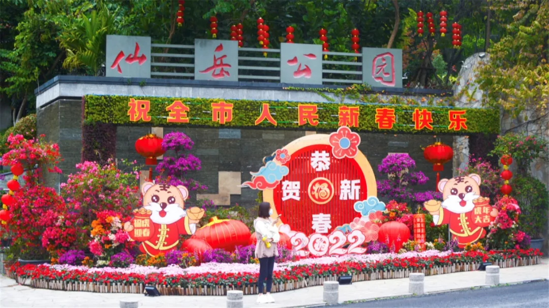在厦门过春节,看这篇就够啦