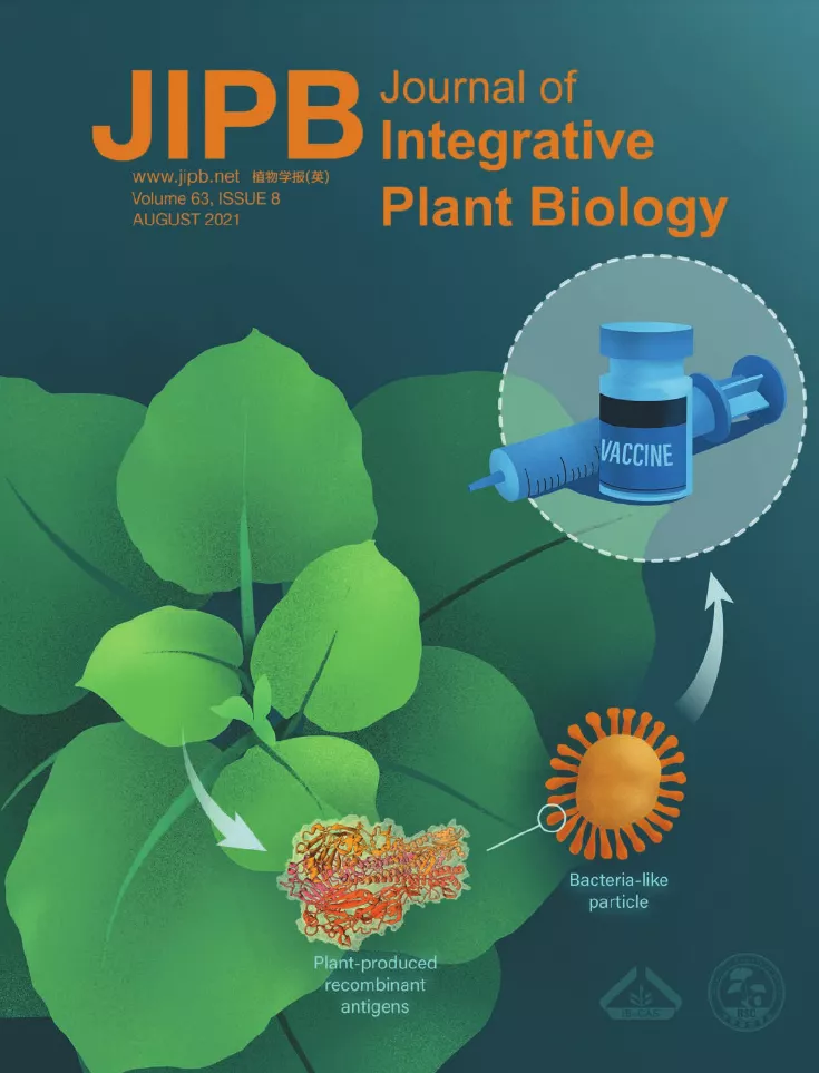影响因子7分，中科院1区，初审仅19天