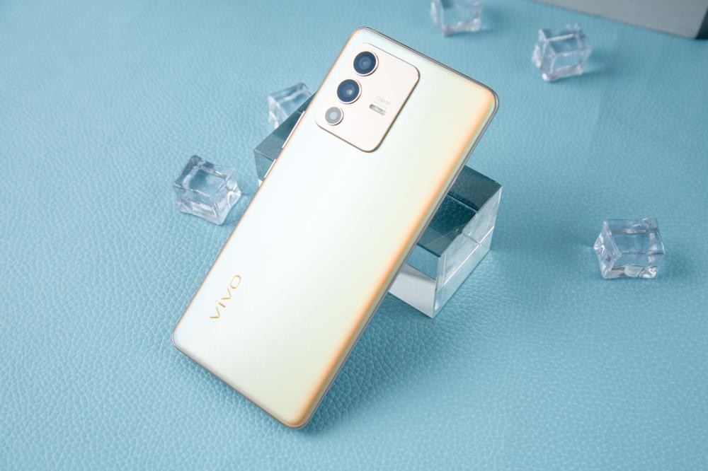 vivo