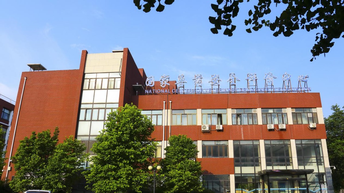 央视报道！救护国宝，毕业入职世界名企！他们都就读于北京这个“王牌”专业