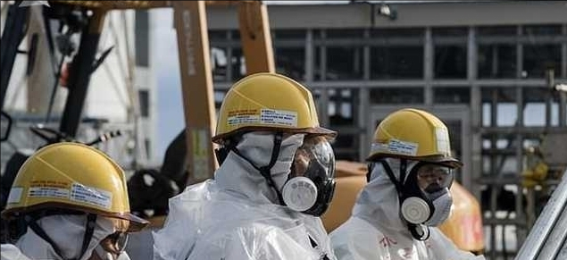 福島近海捕獲的海魚 放射性物質嚴重超标 日本海魚你還敢買嗎 天天看點