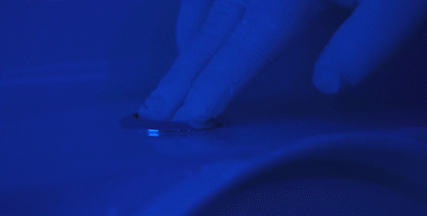 沖馬桶，蓋？還是不蓋？別糾結了，央視的一個實驗告訴你真相