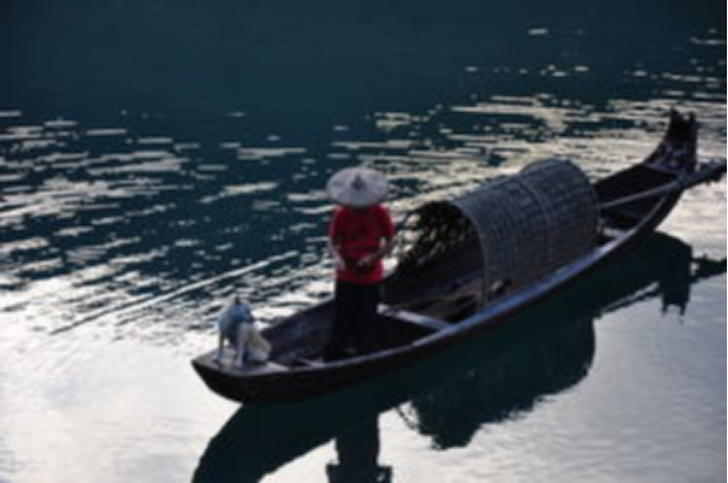 沈岳萌：沈从文的九妹，为爱所困回家时已成疯子，走丢后嫁给渔夫