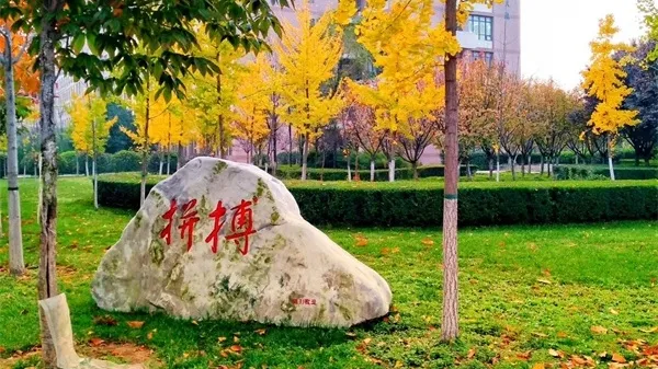 美术生快来安利!这八所轻工院校设计专业实力不输美院