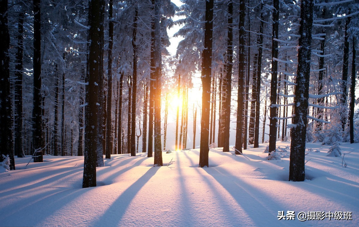 怎么拍雪景？一共5个摄影技巧，相机参数一定先设置好