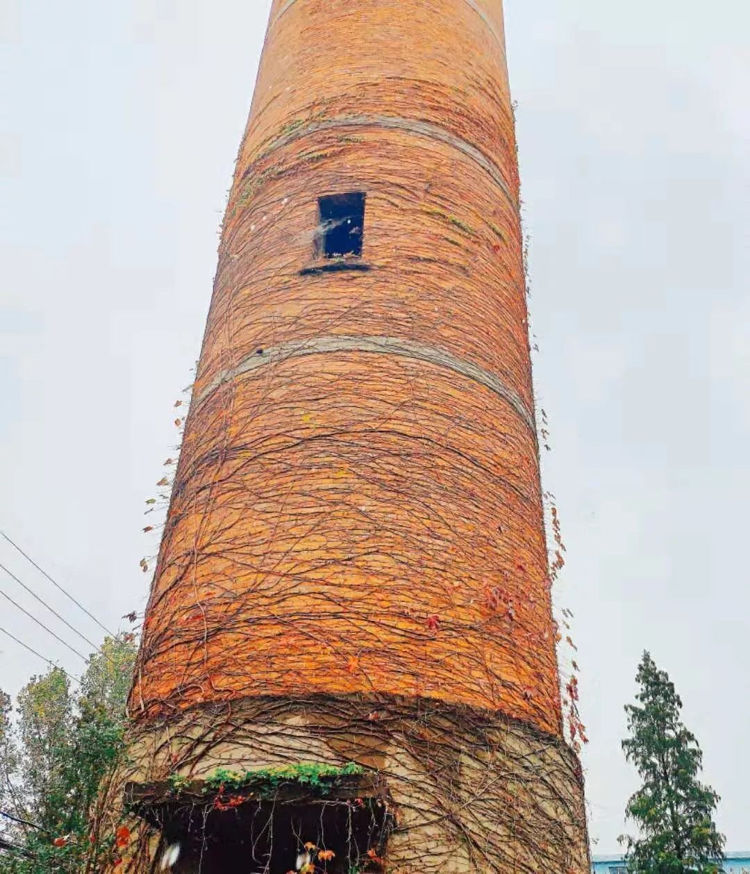 超强攻略来袭！湖北这所大学风光绝美，还有多个“爆款”打卡地