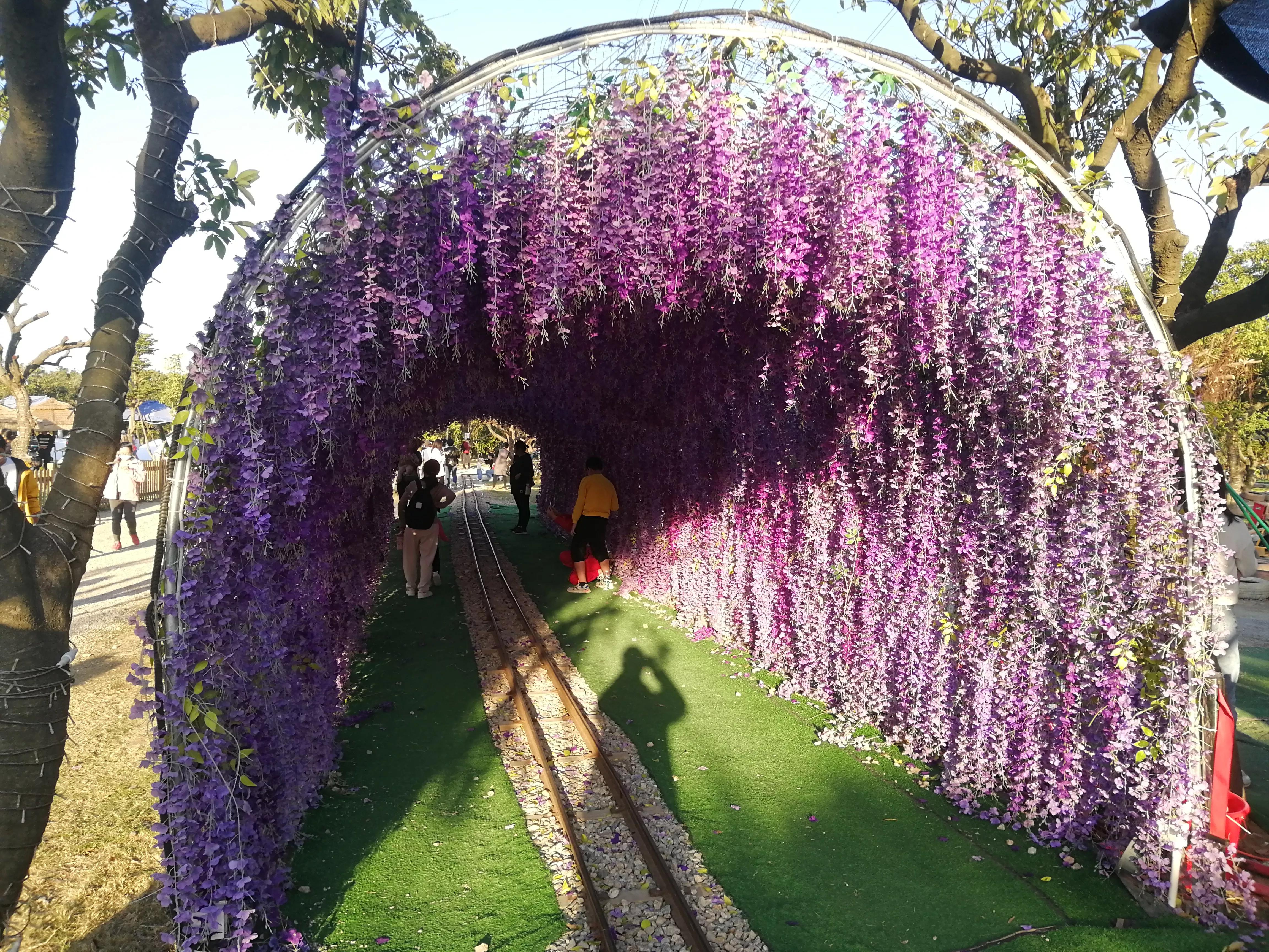 地铁4号线大学城周边游玩攻略，领悟独一无二的长洲岛景象（D篇）
