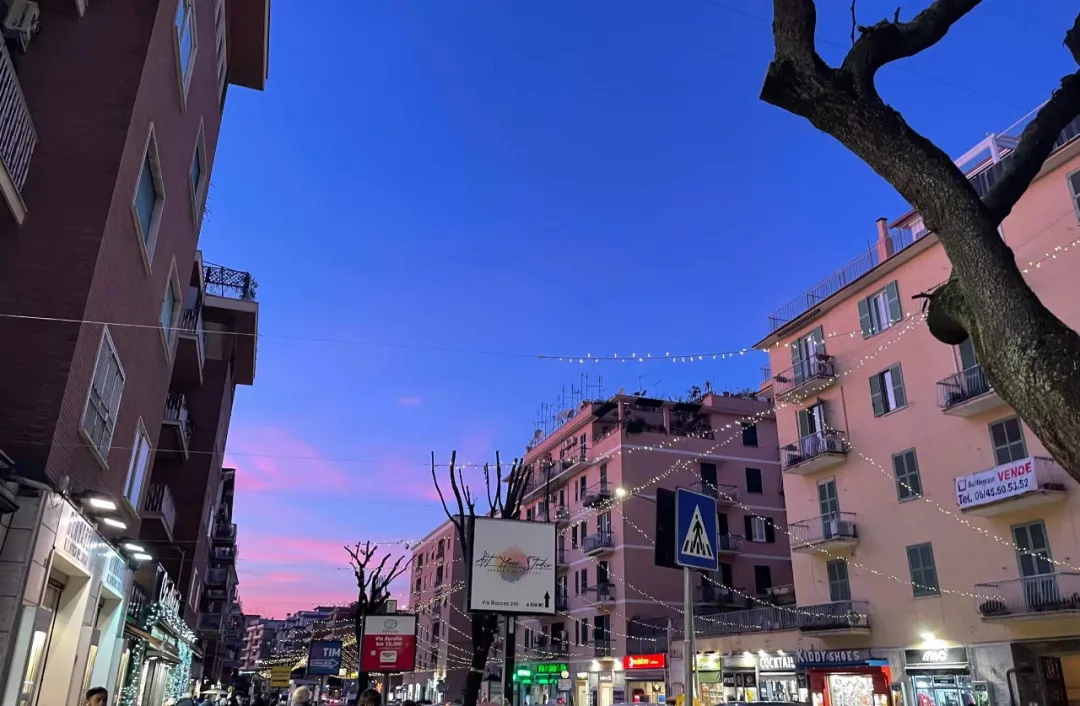 人在罗马一大,研一在读,已经找到工作了