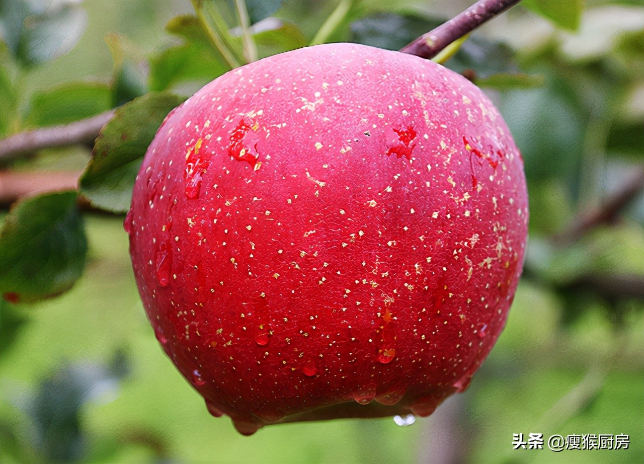 全球最有名的10种苹果，新疆阿克苏苹果上榜，你都吃过哪几种？