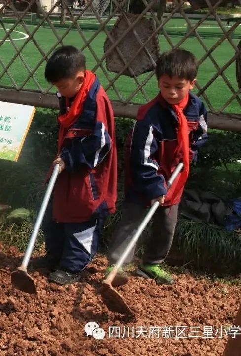 天府新区三星小学特色劳动课堂