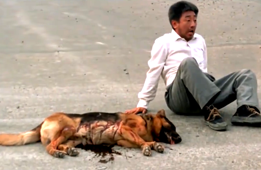 又到父亲节，重温电影《搭错车》里的父女情，莫给人生留遗憾