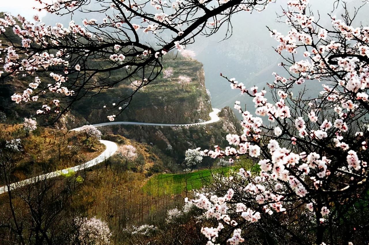 寻找向往春天！河南踏青出游最全赏花地图，附景区旅游交通路线