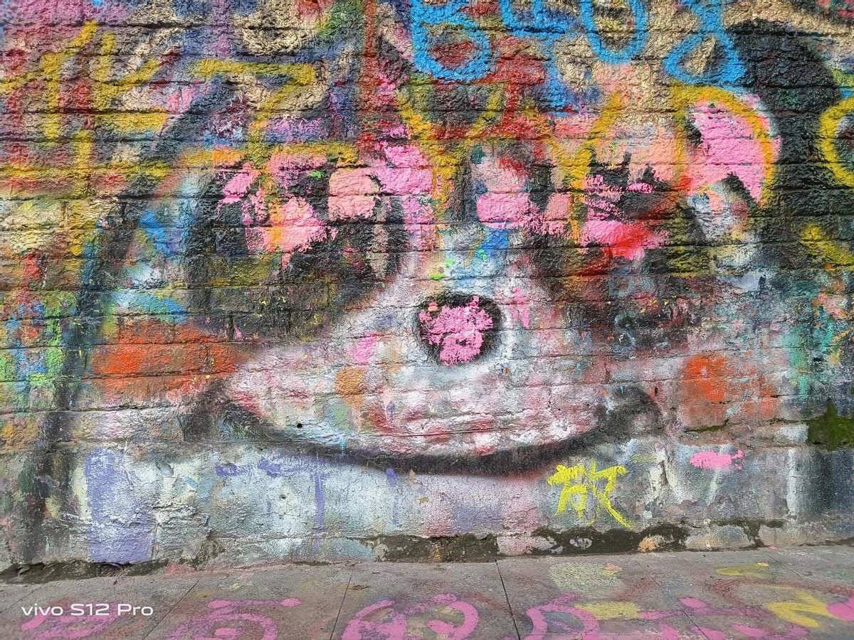 vivo