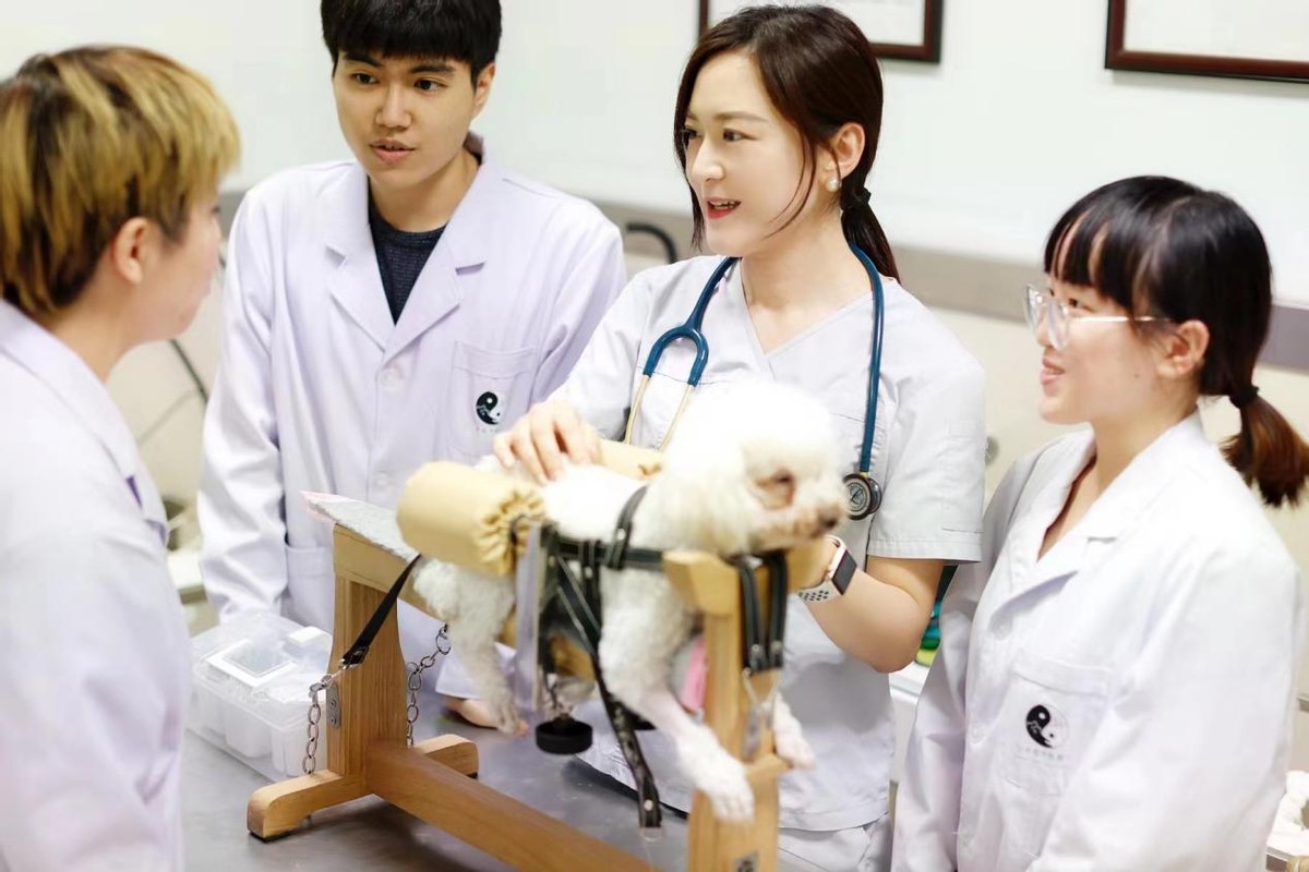 央视报道！救护国宝，毕业入职世界名企！他们都就读于北京这个“王牌”专业