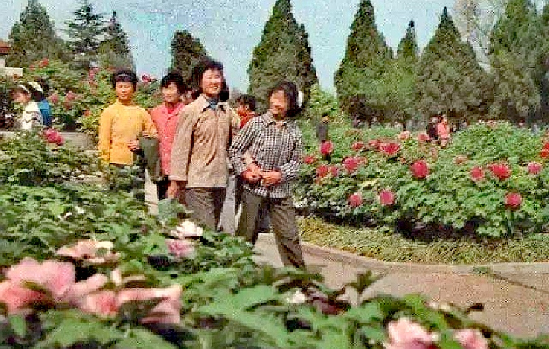 1981年，河南1 动物园2只老虎被害，警察凭1条绿腰带锁定屠虎凶犯
