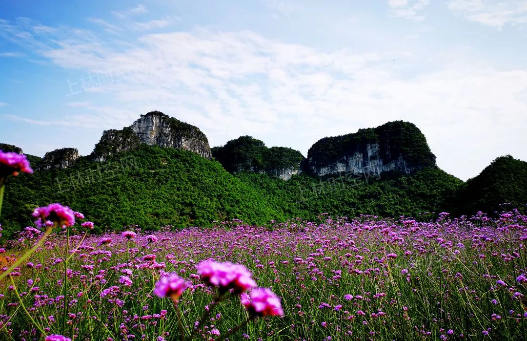 徐霞客在此住了54天，这里是四季花期永不过时的南宁“后花园”……