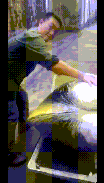 魔幻的币圈Q1！笑死我算了