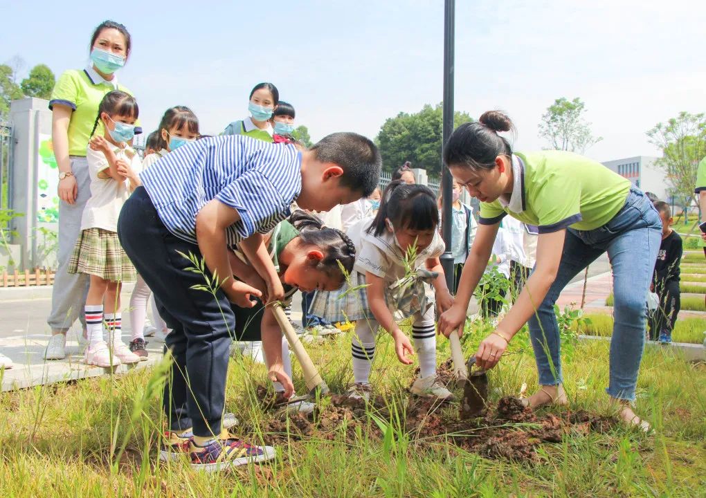 成都市双流区黄甲小学携手黄甲幼儿园开展手拉手幼小衔接活动