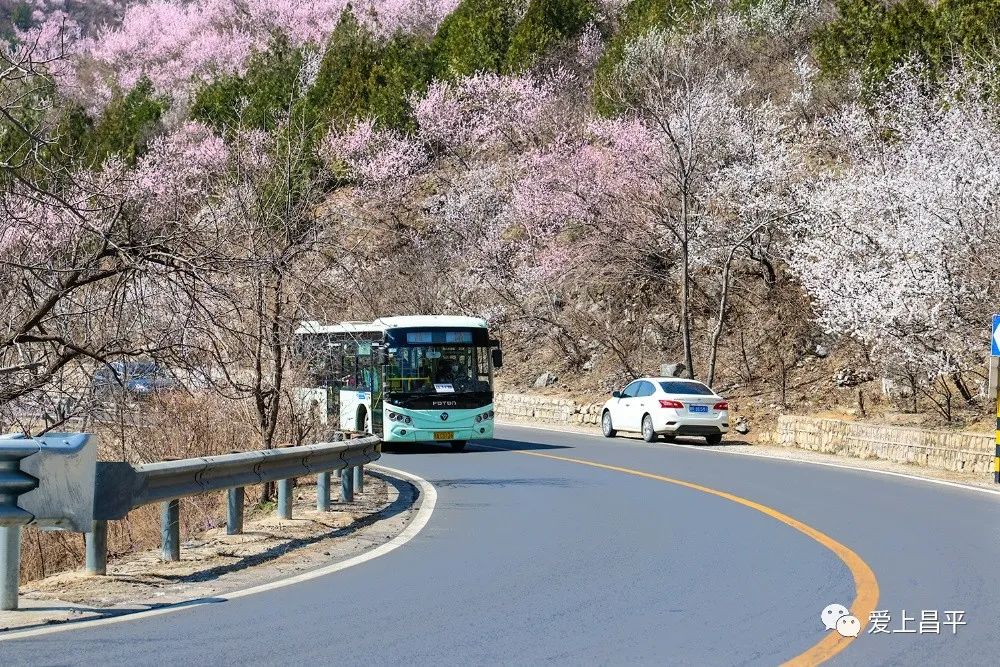 美成仙境的京郊延壽醉美公路，玩賞正當(dāng)時(shí)！