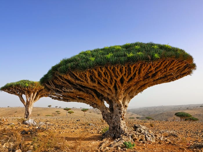 花花世界盘点推荐：50张世界上最美丽的自然奇观照片