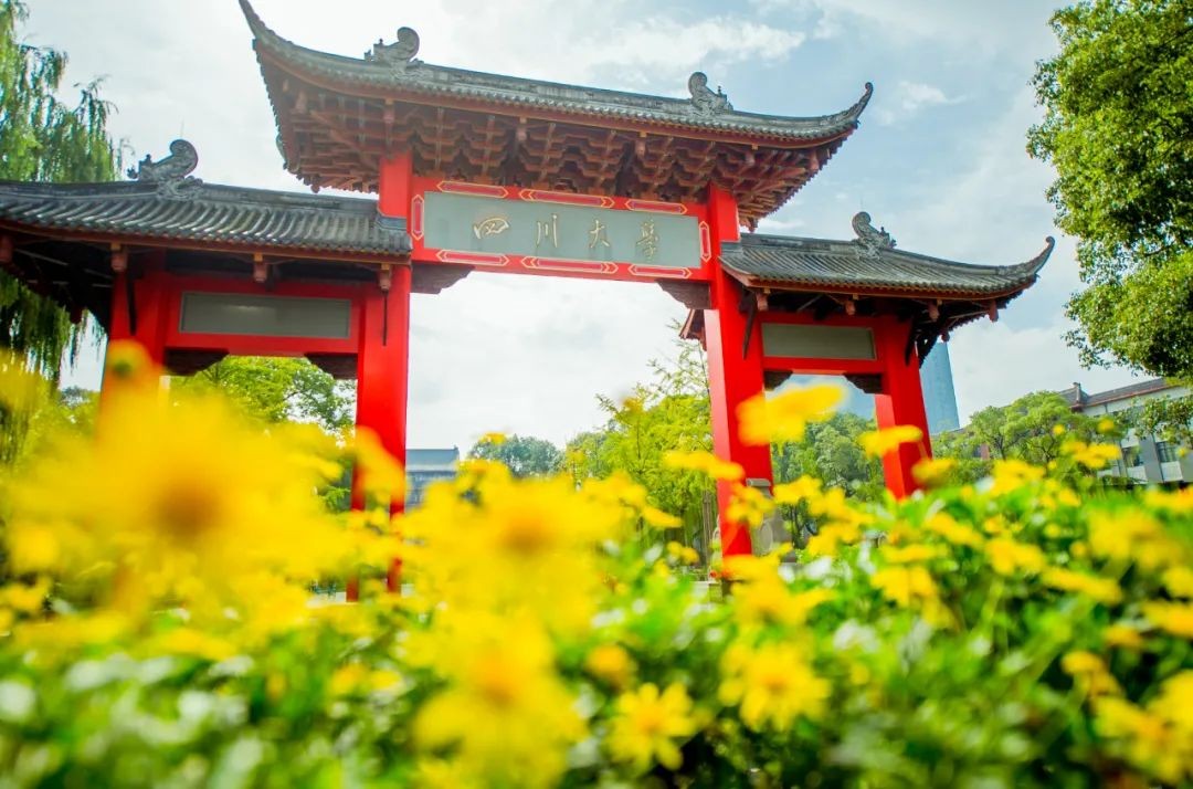 缺口55至100万！这类人才需求迫切、就业可观！四川大学提前布局！