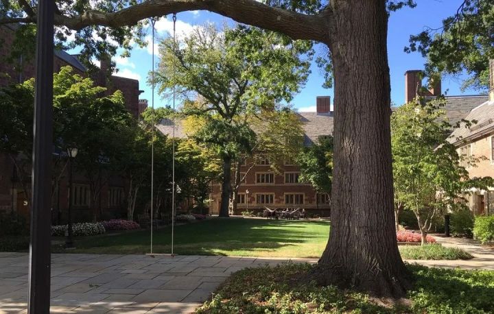 常青藤名校有哪些？