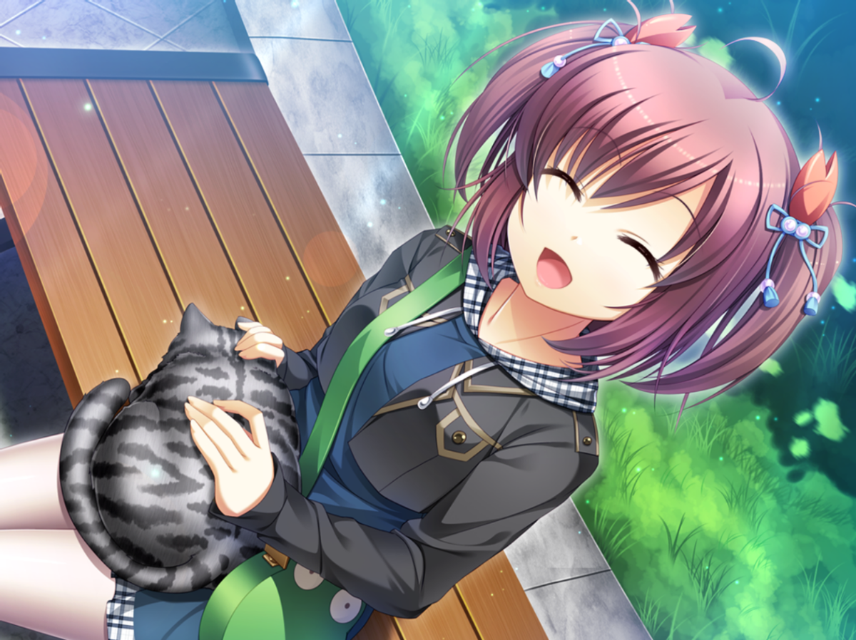 高考与恋爱，真能共存吗？——《高考恋爱一百天》