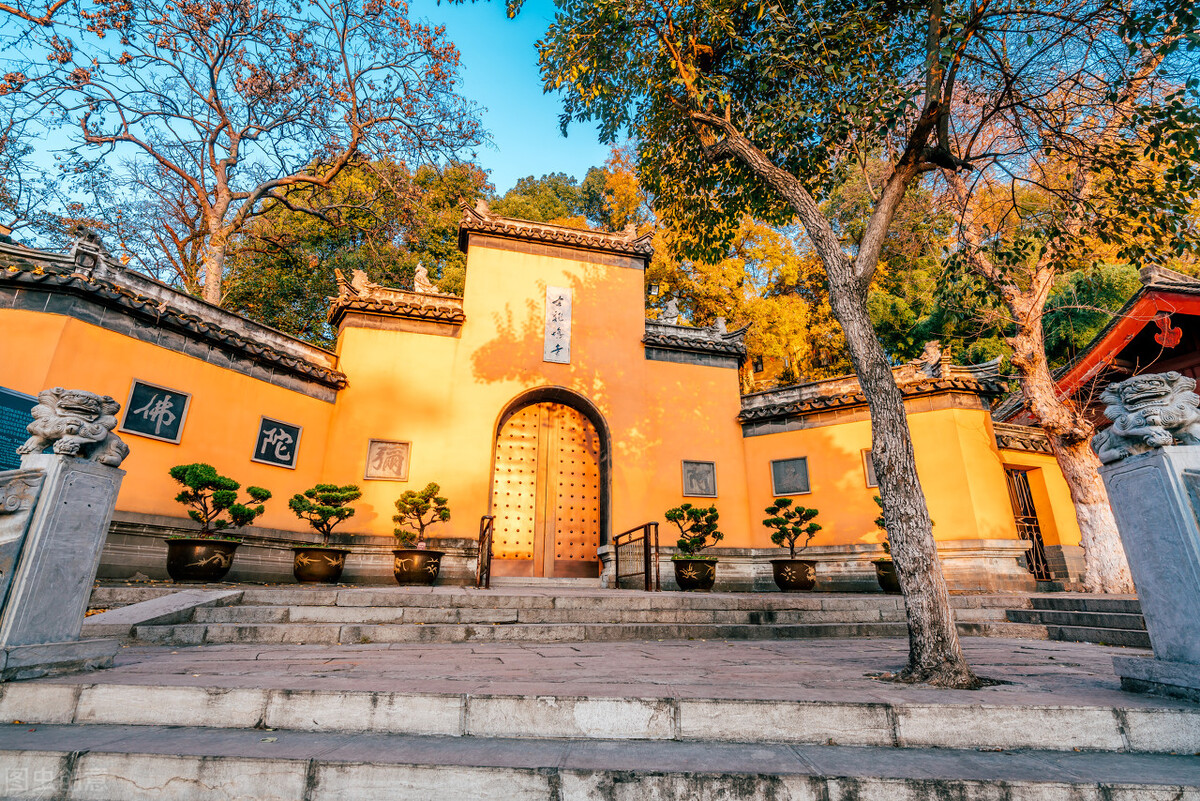 在这个靠网红能暴富的时代，还有努力考名校的必要吗？