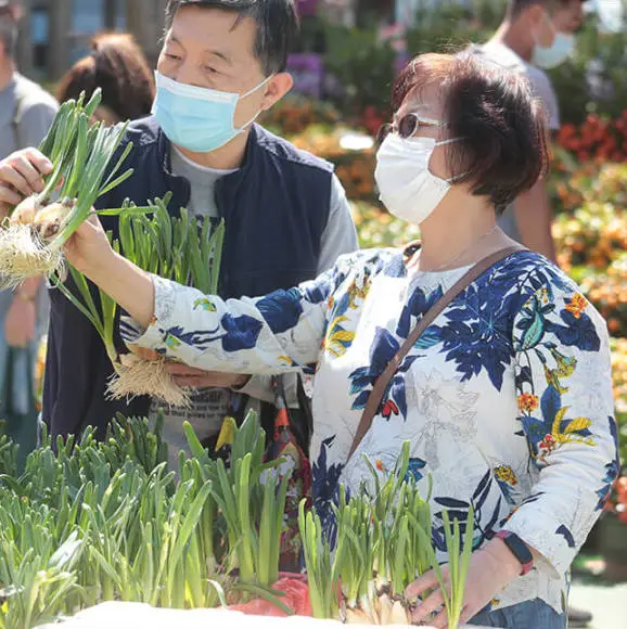 香港留学生「就地过年」怎么过？2022春节最强攻略快马住