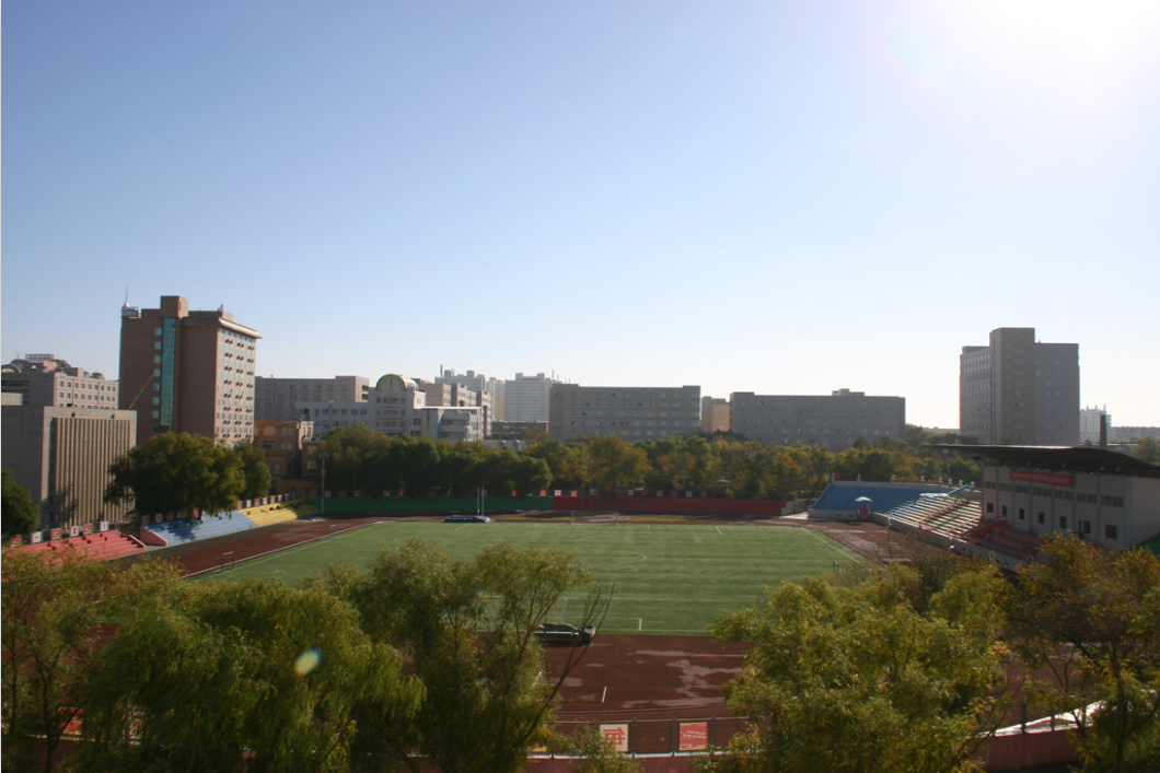 艺术类招生100人！211工程东北林业大学2022年录取需要多少分？