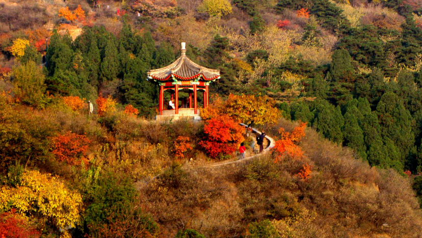 北京香山一日遊玩攻略(北京香山公園景點介紹)