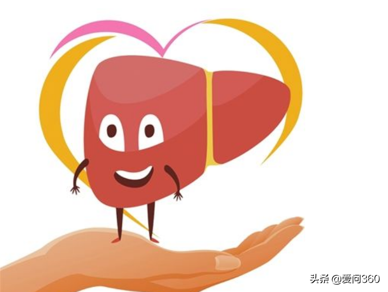 养肝的最佳时节到了，一定要注意这些事情，对身体好处很多