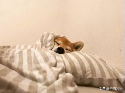 「装修干货」卧室如何装修，才能实现睡眠自由？