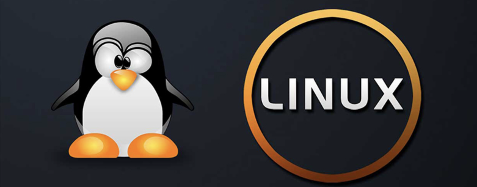 软件测试之Linux命令（3）