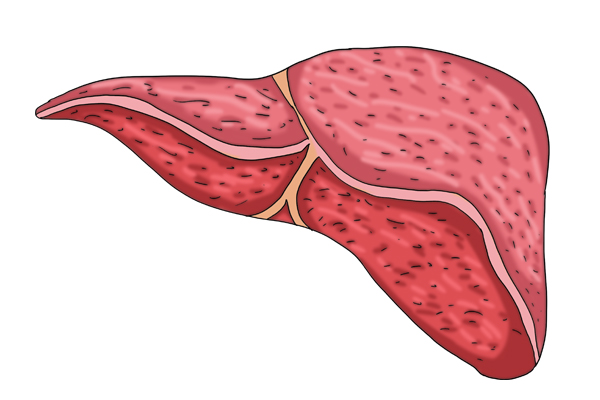 4类药不能长期吃，多吃可能变“毒药”！部分已被国药监召回