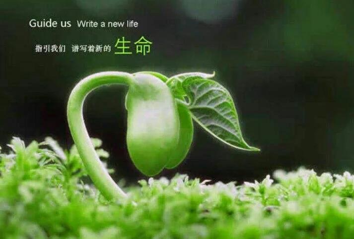 人的生命是有限的(带你了解人的生命形态和过程)