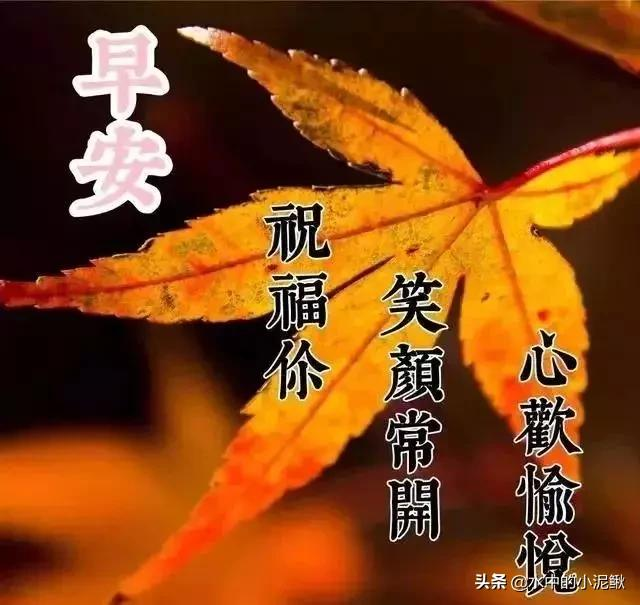 朋友圈2022最新正能量励志早安句子，抖音经典语录正能量句子