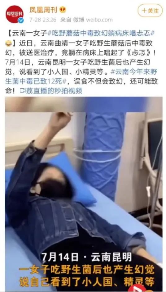 那些“不正经”的滇风神曲，你……听过吗