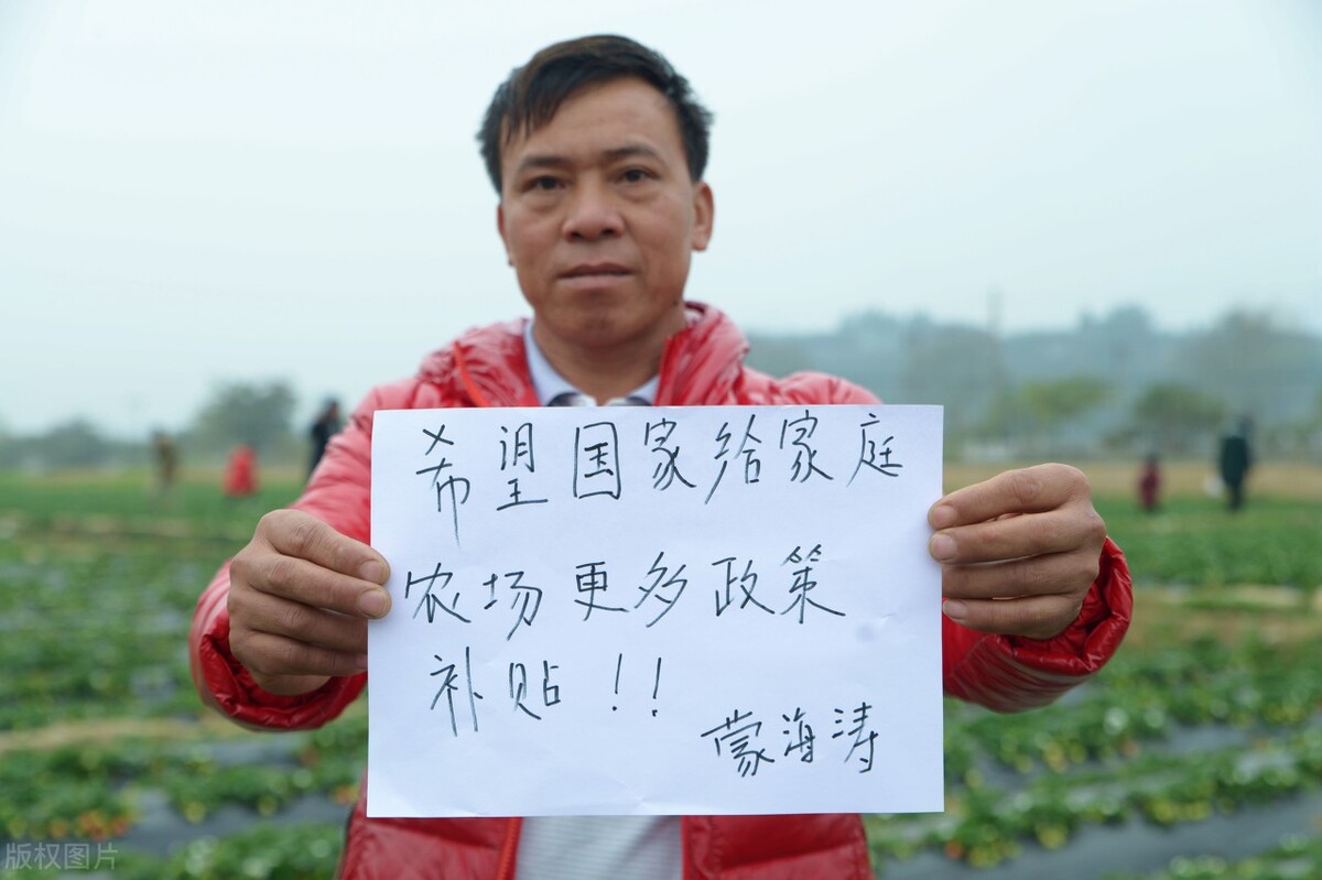 2022年種地補(bǔ)貼1000元/畝？哪些補(bǔ)貼能申請？7種情況不補(bǔ)